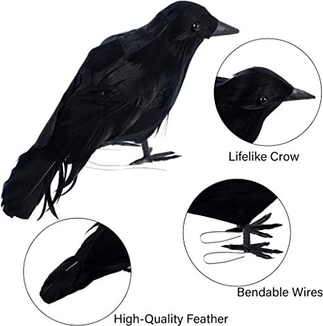 AmazonSmile: DR.DUDU Halloween Crow Decorations 6 Pack, Lifesize Handmade Realistic Black Feather Birds Prop, Fake Ravens Décor for Outdoor Indoor Party : Home & Kitchen Raven Decor, Halloween Raven, Crow Feather, Raven Bird, Crow Bird, Halloween Prop, Crows Ravens, Black Crow, Halloween Black