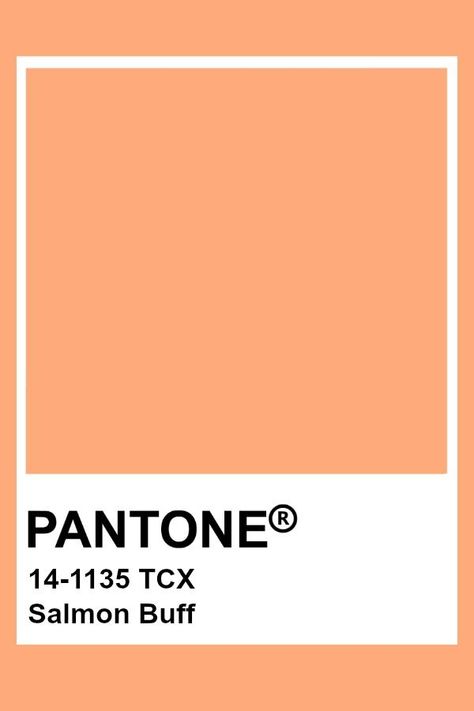 2019-2020 Autumn Winter "Noon" Salmon Buff Pantone Coral Pink, Burnt Pink Aesthetic, Coral Pink Aesthetic, Coral Color Palette, Orange Pantone, Burnt Pink, Coral Color Schemes, Pantone Orange, Coral Pantone