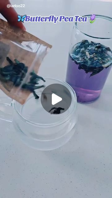 Lauren Gallegos on Instagram: "Butterfly Pea Flower has so many great benefits.

🪻The flowers are rich in anti-inflammatory and antimicrobial compounds. Butterfly pea flower has anti-glycation properties, a potent ally to slow down skin ageing.

Results may vary from person to person. Do your own research on butterfly pea flower.

Check out the cool color it turns when you add lemon! 

🪻🌿👉 For more information on my favorite butterfly pea flower tea go to the link in my bio under my photo or comment "TEA"

#antiagingtea #collagenboost #butterflypea #herbaltea" Butterfly Pea Flower Uses, Anti Aging Tea, Pea Flower Tea, Butterfly Pea Tea, Butterfly Pea Flower Tea, Butterfly Pea Flower, Butterfly Pea, Pea Flower, Flower Tea