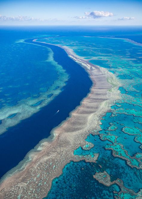 Barrier Reef Australia, Oceania Travel, The Great Barrier Reef, Coral Reefs, Great Barrier Reef, Australia Travel, Pretty Places, Dream Destinations, Travel Insurance