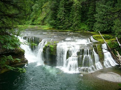 6. The spectacular Lower Lewis Falls in the Gifford Pinchot National Forest. Washington Adventures, Washington Summer, Gifford Pinchot National Forest, Weekend Road Trip, Everett Washington, Forks Washington, Washington Travel, North Cascades National Park, Senior Trip