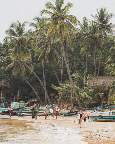 Sri Lanka “On Film” 🎞️📸🇱🇰 Forever reminiscing about this place 🧡 📍Ahangama 📍Hiriketiya 📍Arugam Bay Arugam Bay, Yoga Shala, Asia Travel Guide, On Film, Asia Travel, Travel Guides, Sri Lanka, Travel Guide, Yoga