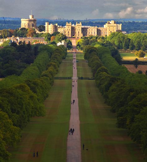 10 Fascinating Facts about Windsor Castle Winsor Castle, Windsor Palace, 10 Amazing Facts, The Long Walk, Castle Exterior, London Castles, Royal Family Pictures, Royal Residence, Long Walk