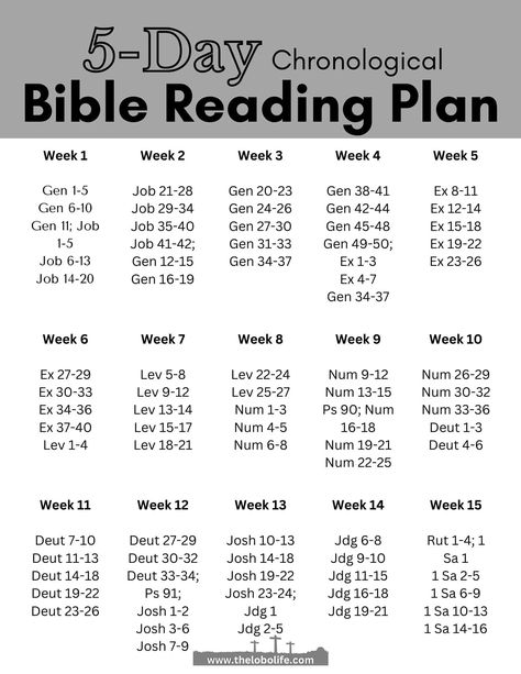 5 Day Bible Reading Plan- Chronological or Traditional Bible Study Printables Worksheets, Study Printables Free, John Bible Study, Free Bible Study Printables, Chronological Bible Reading Plan, John Bible, Bible Reading Schedule, Chronological Bible, Kids Bible Study