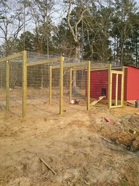 Chicken Run Plans Diy, Multiple Chicken Coop Ideas, Chicken Run On A Budget, Low Budget Chicken Coop Ideas, Large Chicken Run Plans, Large Chicken Coop Ideas Walk In, Shipping Container Chicken Coop, Cheap Chicken Run Ideas, Pallet Chicken Run