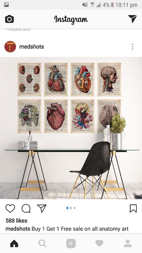 Medical Student Room Decor Ideas, Medicine Room Decor, Nursing Student Room Decor, Medical Room Aesthetic, Medical Bedroom Ideas, Med Student Dorm Room, Medical Room Decor, Med Student Room Decor, Med Student Apartment