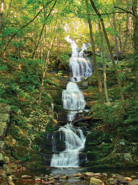 Hiking Appalachian Trail, Appalachian History, Bell Witch, Great Barrington, Mountain Waterfall, Hiking Trips, The Appalachian Trail, Cross Country Road Trip, Daisy Mae