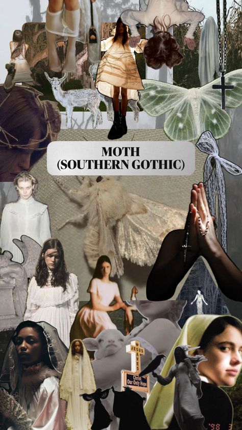 #moth #aesthetic #southern #gothic #southerngothic #aesthetic Moth Aesthetic, Southern Gothic Aesthetic, Southern Gothic, Gothic Aesthetic, Moth