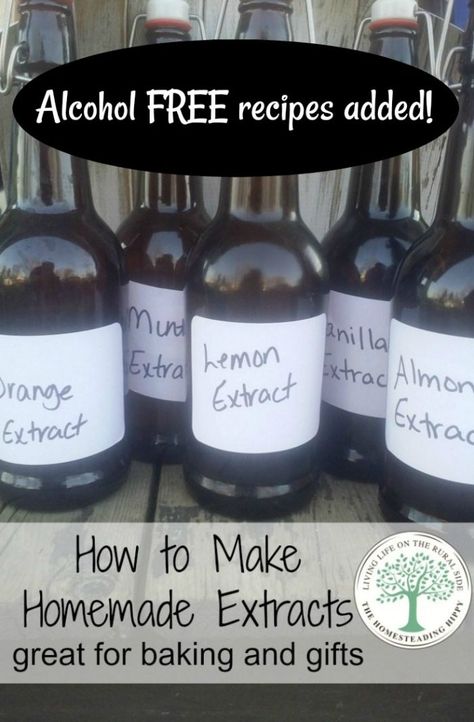 Extracts Homemade, Diy Extracts, Make Vanilla Extract, Vanilla Extract Recipe, Homemade Vanilla Extract, Mint Extract, Homemade Almond Milk, Homemade Syrup, Homemade Spices