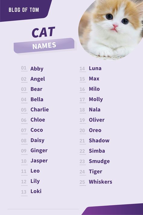 😺🌟 Unleash the purr-fect cat names for your feline friend with our 2023 guide! 🐾🎉 From charming classics to unique and trendy picks, explore 649+ handpicked cat names that will make your kitty the talk of the town! 😻💕 Whether they're playful, elegant, or mischievous, find the ideal name to match their personality! 🐱💫 #CatNames #FelineFriends #KittyLove Cat Symbolism, Girl Cat Names, Cute Animal Names, Unique Cat Names, Cute Cat Names, Balinese Cat, Unique Boy Names, Elegant Cat, Elegant Names