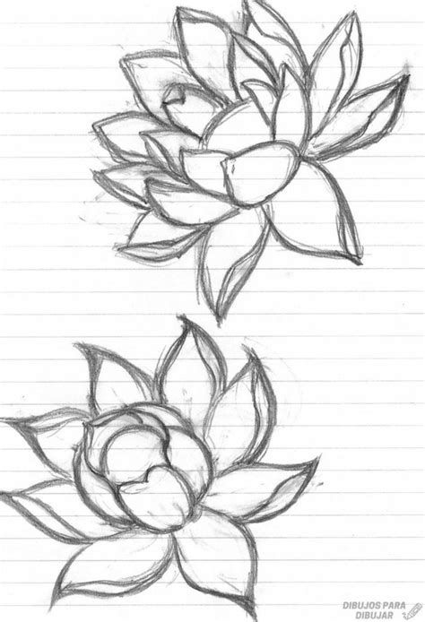 What To Draw On Ur Hand, How To Draw Realistic Flowers, Flower Drawing Tumblr, Flower Draw, Drawings Of Flowers, Lotus Flower Drawing, Books Drawing, Flowers Tattoos, Drawing Realistic