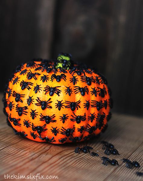 Bug Infestation, Dollar Store Halloween Decorations, Pumpkin Decorating Ideas, Pumpkin Decorating Contest, No Carve Pumpkin Decorating, Creepy Crawlers, Pumpkin Uses, Halloween Memes, Dollar Store Halloween