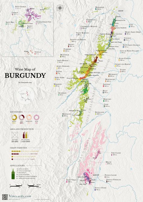 #burgundy - Search / X Burgundy Wine Map, Gundlach Bundschu Winery, Wine Region Map, Burgundy France, Nederburg Wine, Wine Map, Wine Poster, Wine Collection, Wine Region