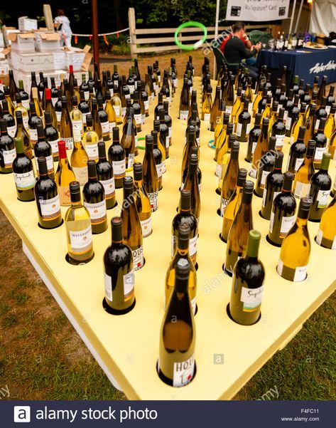 Download this stock image: USA, Washington, Seattle, Woodinville. Ring toss over the necks of wine bottles is a popular game at Bucket of bottles at the Auction of Washington Wine Picnic and Barrel Auction. - F4FC11 from Alamy's library of millions of high resolution stock photos, illustrations and vectors. Bottle Ring Toss, Carnival Party Games, Wine Ring, Wine Picnic, Washington Seattle, Gala Ideas, School Auction, Carnival Themed Party, Ring Toss Game