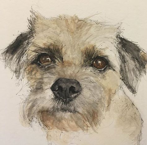 Border Terrier gaze  #borderterrier #dogart #bowwowsketch Border Terrier Art, Border Terrier Drawing, Dog Portrait Drawing, Ink Animals, Watercolor Dogs, Border Terriers, Pics Of Dogs, Graphic Art Illustration, Watercolor Border