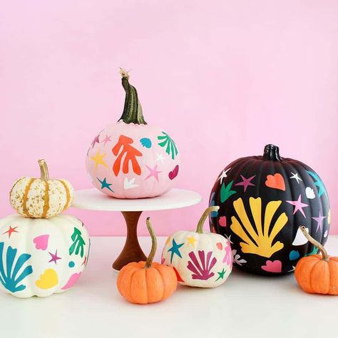 Unique Pumpkin Decorating, Diy Pumpkins Painting, Creative Pumpkin Painting, Pumpkin Painting Ideas, Halloween Memes, Creative Pumpkins, Diy Halloween Projects, Pumpkin Painting, Diy Pumpkin