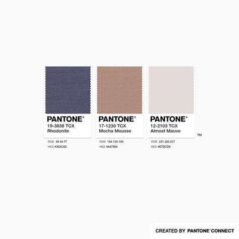 Mocha Mousse Color Pantone, Mocha Mousse Palette, Mocha Mousse Color, Mocha Mousse Pantone, Mauve Color Palette, Autumn Soft, Mocha Mousse, Name Card Design, Palette Inspiration