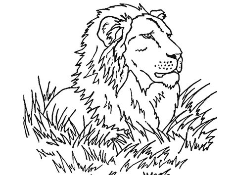 Free Printable Lion Coloring Pages For Kids Lion Mural, Lion Coloring, Angel Coloring Pages, Lion Coloring Pages, Bandsaw Box, Lion And Lamb, Africa Animals, Bible Coloring Pages, Lion Pictures