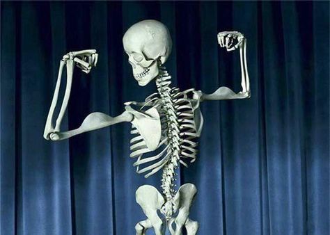 strong bones Medical Massage, Calcium Rich Foods, Skeletal System, Bone Strength, Calcium Vitamins, Human Bones, Strong Bones, Funny Skeleton, Medical Humor