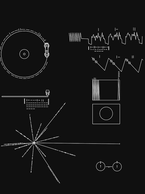 The Golden Record, Golden Record, Voyager Golden Record, Voyager Spacecraft, Fermi Paradox, Astronomy Art, Tattoo Font, Carl Sagan, Album Cover Design