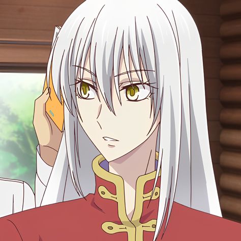 Ayame Sohma, Guys References, Hair Guys, Grey Hair Men, Fruits Basket, Fictional World, Fruit Basket, Grey Hair, Cute Anime Guys