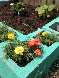 Because you would certainly not find a coloured concrete block in a home enhancement store, the only thing you could do is pain the blocks. Cinder Block Raised Garden, Garden Ideas Diy Cheap, Cinder Block Garden, Raised Flower Beds, Cinder Blocks, Cinder Block, Garden Bed, Little Garden, Veggie Garden