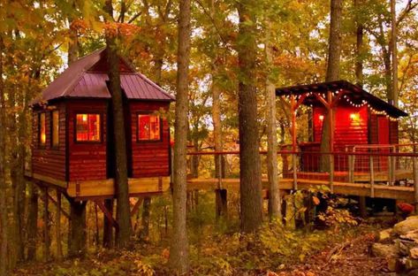 Ozark Tree Suite: Missouri's Cozy Cabin in the Trees Treehouse Airbnb, Jacuzzi Bath, Beautiful Cabins, Luxury Cabin, Air Bnb, Cabin Rentals, Cozy Cabin, Bath House, State Park