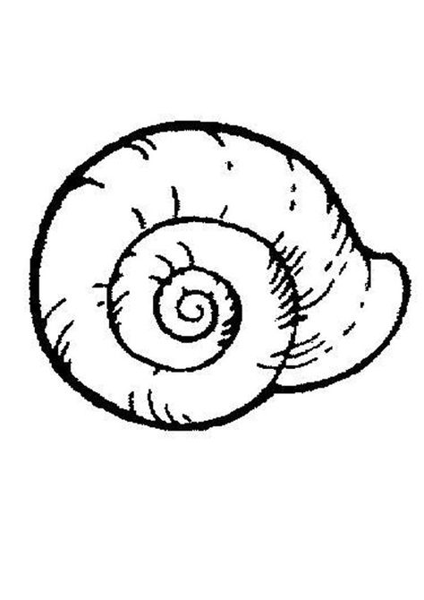 Sea Snail coloring page. Nice coloring sheet of sea world. More content on hellokids.com Shell Coloring Pages, Shell Coloring, Shell Drawing, Pre Reading Activities, Family Coloring Pages, Fish Coloring Page, Kitty Coloring, Mermaid Coloring Pages, Sea Snail