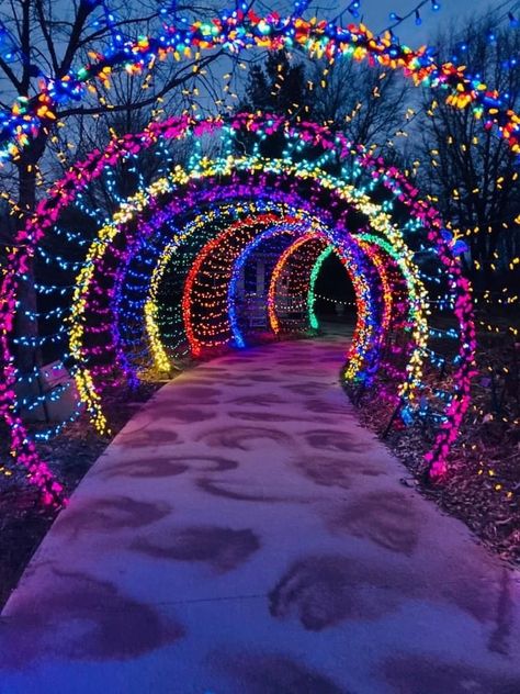 Xmas Aesthetic, Holiday Lights Outdoor, Colorful Christmas Lights, Christmas Lights Outdoor, Christmas Lights Outside, Christmas Light Show, Diy Christmas Lights, Best Christmas Lights, Merry Christmas Wallpaper