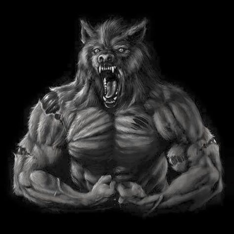 A "Ripped" Werewolf Werewolf Tattoos, Werewolf Tattoo, Wolf Meme, Alpha Werewolf, Wolf Logo, Wolf Images, Alpha Wolf, Wolf Photos, Werewolf Art