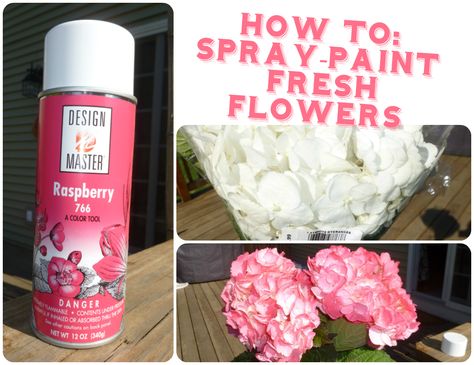 They all said it couldn't be done. Spray painting flowers?! And not killing them? Yes, yes, you can do it and it's SUPER easy, relatively cheap, and instantly gratifying. Did you know pink hydrangeas usually go for $8 a stem, while the white variety is only around $2? I ordered 68 white hydrangeas in June… Spray Paint Flowers, Artificial Flowers Outdoors, How To Spray Paint, Purple Hydrangeas, Fresh Wedding Flowers, Pink Hydrangeas, Diy Spray Paint, Dried Hydrangeas, Paint Flowers