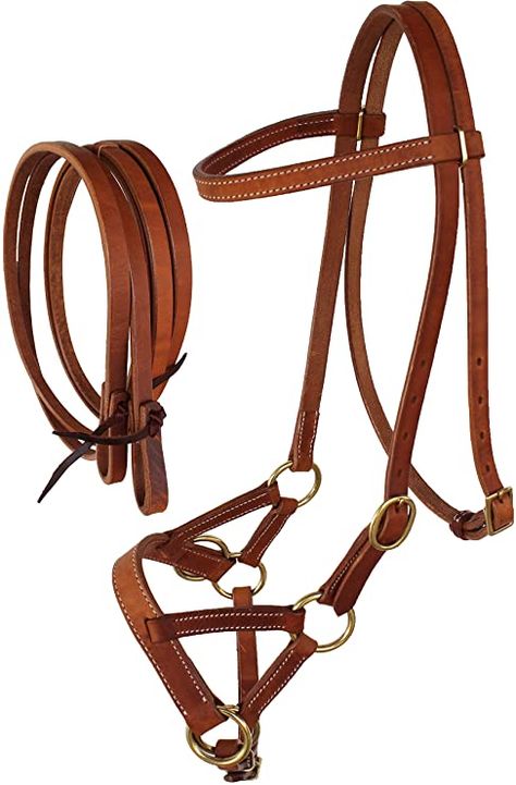 Sidepull Bridle, Horse Western, Bridles, Western Horse, Western Leather, Black And Tan, Horses, Sports, Leather