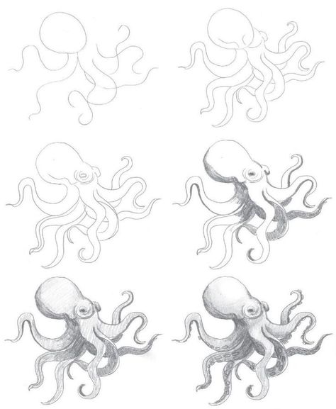 Easy Octopus Drawing, Sea Reference, Octopus Drawings, Draw An Octopus, Drawing In Circle, Octopus Sketch, Sea Creatures Drawing, Octopus Drawing, Independance Day