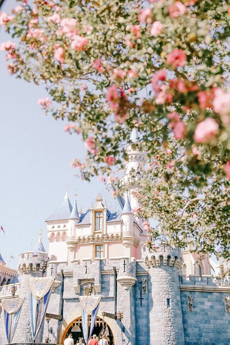 The Happiest Guide | Disneyland Disneyland Guide, Disneyland Aesthetic, Disneyland Photography, Disneyland Secrets, Disney Photo Ideas, Year Goals, Character Dining, New Year Goals, Disneyland California