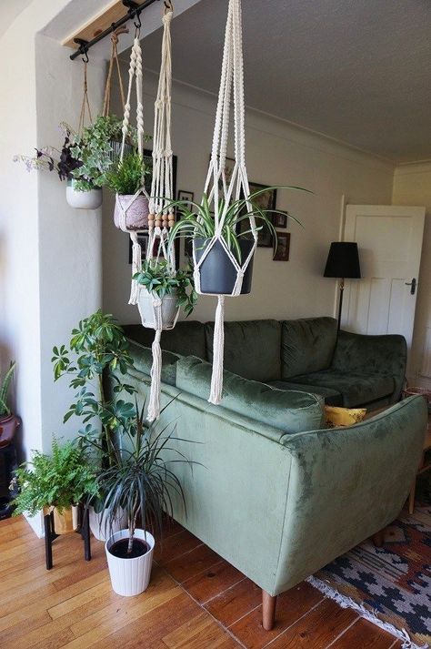 10 Excellent Ideas To Display Living Room Indoor Plants Koti Diy, Bohemian Living Room Decor, Plants Hanging, Plant Goals, نباتات منزلية, Bohemian Living Rooms, 4th Street, Plant Ideas, Loft Living