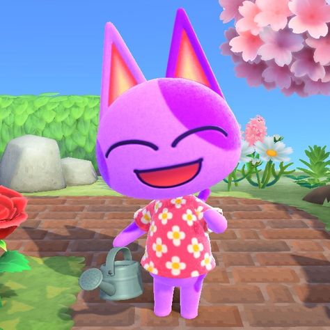 Bob Acnh, Acnh Icons, Bob Animal Crossing, 2023 Wrapped, Animal Crossing Cats, Acnh Villagers, Leaf Animals, Nap Pillow, Animal Crossing Characters