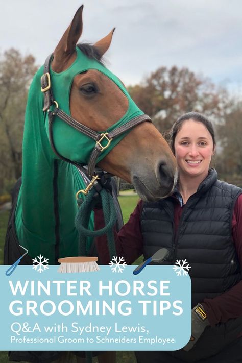 Winter Horse Grooming Tips Horse Grooming Tips, Grooming Horse, Horse Braiding, Grooming Hacks, Tips For Winter, Winter Horse, Horse Tail, Horse Grooming, Grooming Tips