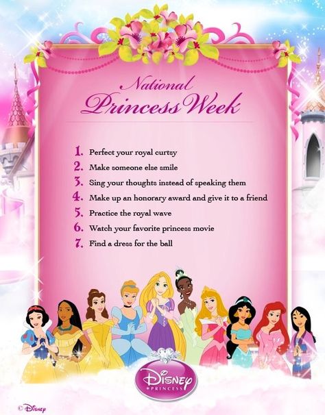 National Princess Week rules Princess Academy, Laugh Till You Cry, Im A Princess, Princess Movies, Princess Core, Disney Life, Summer Theme, Disney Disney, 25th Birthday