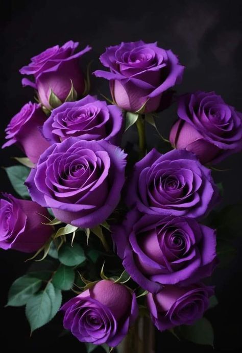 Roses Pictures, Goth Garden, Dark Purple Wallpaper, Luxury Flower Bouquets, Rose Violette, Rosé Aesthetic, Rose Pictures, Cute Flower Wallpapers, All Things Purple