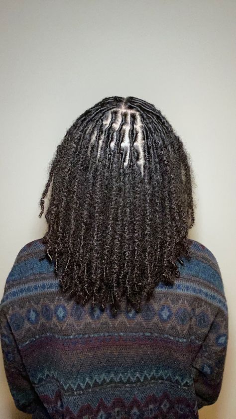 Two Strand Twist Starter Locs Before And After, Two Strand Twist Starter Locs With Extensions, Locs Started With Two Strand Twist, Locs Started With Braids, Starting Locs Two Strand Twists, Coil Locs Vs Two Strand Twist Locs, Micro Two Strand Twist Starter Locs, Female Loc Styles Two Strand Twist, Two Strand Twist Starter Locs Women