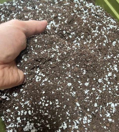 Indoor Potting Soil, Best Potting Soil For Indoor Plants, Soil Mix For Indoor Plants, Potting Soil Mix Recipe, Diy Soil Mix For Indoor Plants, Making Your Own Potting Soil, Indoor Plant Soil Mixture, Mixed Houseplant Container, Houseplant Soil Mixture