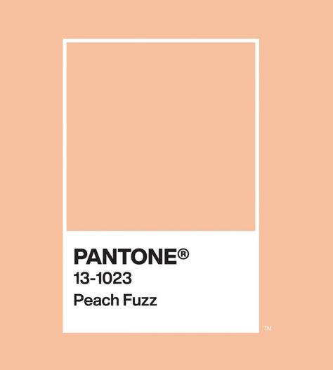 PANTONE Color Of The Year 2024: PANTONE 13-1023 Peach Fuzz. Peach Pantone 2024, Pantone Color 2024 Peach Fuzz, Pantone 13-1023 Peach Fuzz, 2024 Pantone Color Of The Year, Pantone Color Of The Year 2024, Peach Fuzz Pantone 2024, Pantone Color 2024, Peach Fuzz Color, Pantone Peach Fuzz