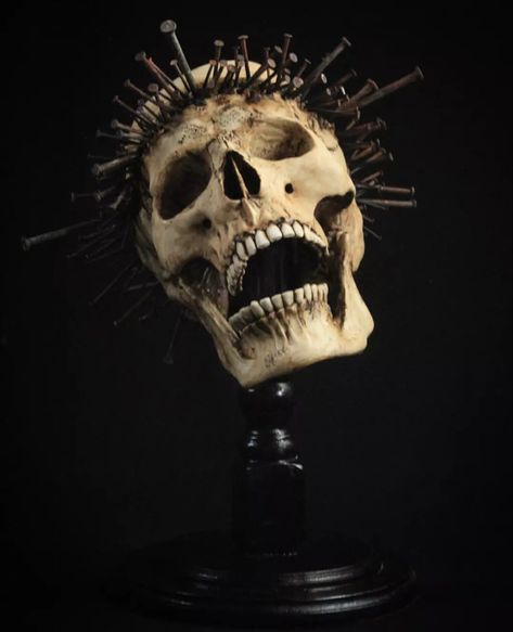 Emil Melmoth Sculpture, Skull Photography Reference, Skull Front View, Emil Melmoth, Skull References, Skull Anatomy, Skull Reference, Skull Model, Vulture Culture