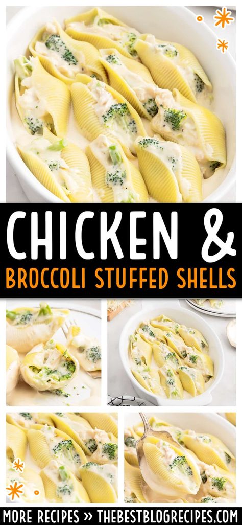 Chicken Broccoli Stuffed Shells combine creamy Alfredo sauce, tender chicken, and fresh broccoli in a comforting, easy-to-make pasta dish. Perfect for family dinners or special occasions, this recipe will satisfy everyone’s cravings. Chicken Alfredo And Broccoli Stuffed Shells, Chicken And Cheese Stuffed Shells, Shell Recipes Stuffed, Stuffed Shells Side Dish, Stuffed Chicken Shells Recipes, Chicken Broccoli Stuffed Shells, Chicken Stuffed Shells Recipe, Chicken Broccoli Alfredo Stuffed Shells, Alfredo Stuffed Shells Chicken