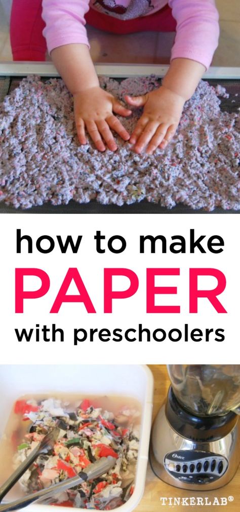 Sustainability Preschool, Kindergarten Experiments, Diy Hanging Shelves, Science Club, Paper Scraps, Window Screen, Preschool Science, Making Paper, Make Paper