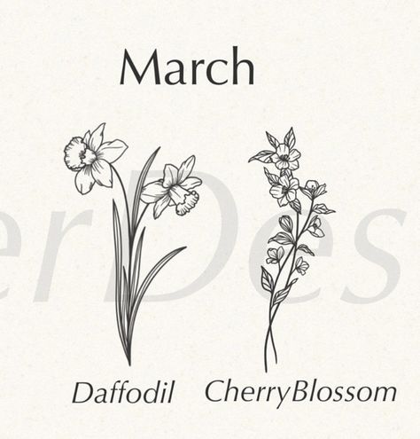 Dafodill Flowers Tattoo Fine Line, Birth Flower March Tattoo, Daffodil And Daisy Tattoo Birth Flowers, Daffodil And Cherry Blossom Tattoo, Daffodil Tattoo Bouquet, Birthflower March Tattoo, Daffodil And Cosmos Tattoo, Cherry Blossom And Daffodils Tattoo, Daffodil Jonquil Tattoo