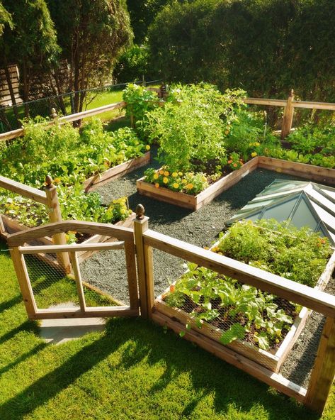 vegetable garden layouts Gardens Ideas Backyard Vegetable, Backyard Veggie Garden Aesthetic, Garden With Planter Boxes, Landscape Vegetable Garden, Raised Vegetable Beds Layout, Garden With Vegetables And Flowers, Backyard Fruit And Vegetable Garden, Fenced Garden Design, Strawberry Garden Bed Ideas