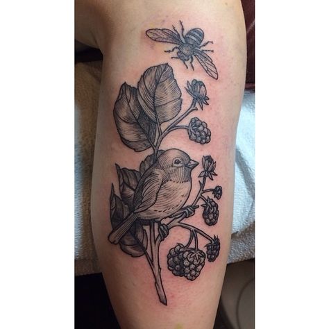 Hi Rachel - Those are the sort of raspberries I am imagining that are around the bear and perhaps the bee too!? Bees Tattoo, Berry Tattoo, Julie Rose, River Tattoo, Birds And Bees, Throat Tattoo, Birds And The Bees, Botanical Tattoo, Bee Tattoo