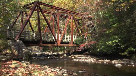 Damascus Virginia, Los Angeles River, Bicycle Trail, Bike Trip, Virginia Travel, Bike Trail, Best Bike, Virginia Is For Lovers, Tourist Sites