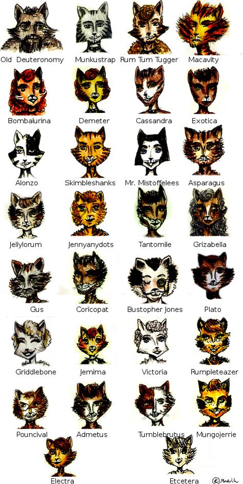 A Guide to the Cats of Cats: The Musical Cats Musical Aesthetic, Cats Broadway Makeup, Cats Costume Musical, Cats Makeup Musical, Cats Musical Makeup, Cats Musical Costume, Cats Musical Fanart, Grizabella Cats, Cats The Musical Costume